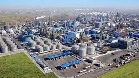 1637309247804210.jpg 4.jpg